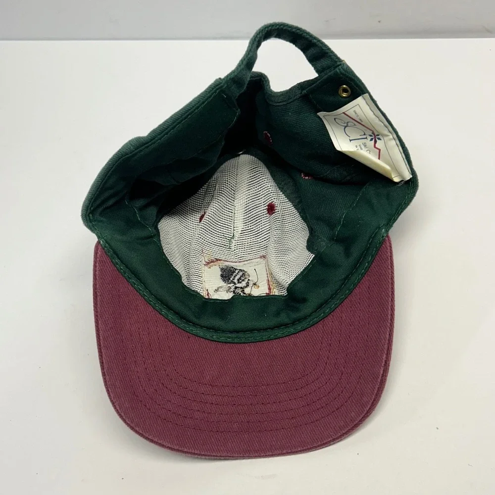 Ski Country Imports Denali Park Alaska Green Unisex OS Eagle Souvenir Hat Vtg